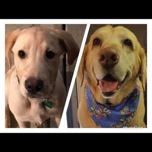 Meet your Posher, Brad